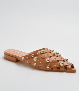 MULE Q2581