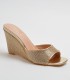 ZAPATOS DE FIESTA  WL5808
