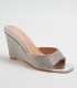 ZAPATOS DE FIESTA  WL5808