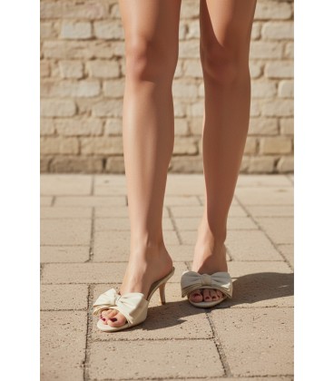 ZAPATOS DE FIESTA LO-10