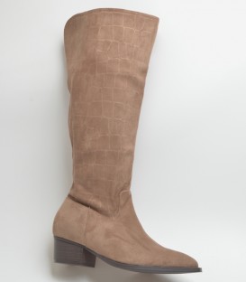 BOTA Y2556