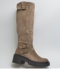 BOTA Y2565