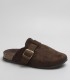 MULE NS001